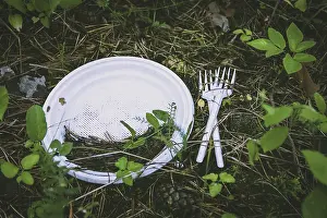 Wooded Landscape Photography Prints: Plastic waste on the ground in forest