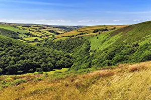 Prints of Plateau with valleys and fields, typical landscape in Exmoor National Park, Lynton, Devon, England, Great Britain Lynton Prints: Exmoor National Park Landscape Print, Devon, England