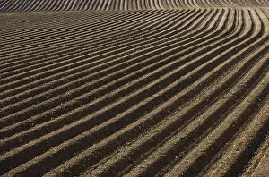 Upper Austria Farmland Prints: Ploughed furrows, structure, Upper Austria