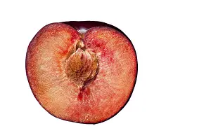 Balanced Diet Vitamins Prints: Plum
