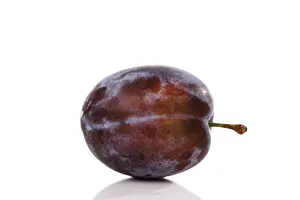 Vitamin Rich Plums Prints: Plum