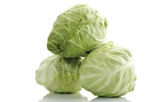 Cabbage Nutrition Facts Prints: Pointed cabbage, three heads