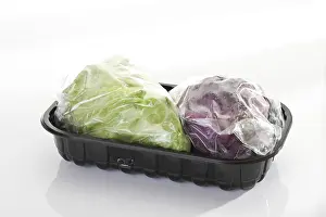 Green Leafy Vegetables Prints: Pointed cabbage packaged for the microwave