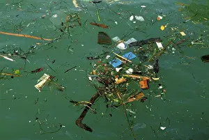 Waste Management Issues Prints: Polluted sea