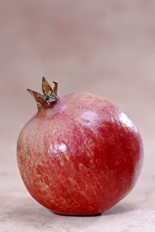 Apple Variety Prints: Pomegranate