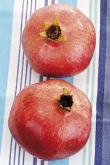 Balanced Diet Nutrition Prints: Pomegranates