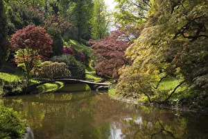 Lake Como Italy Prints: Pond with bridge in the park, spring