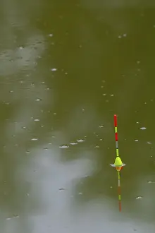 Recreational Activities Germany Prints: Pose or float drifts in the water