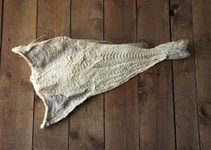 Bony Fishes Prints: Cod, Codfish, Other animals, Fish