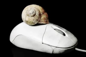 Black Background Studio Photo Prints: Computer mouse with a snail shell