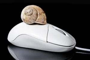 Empty Studio Environment Photo Prints: Computer mouse with a snail shell