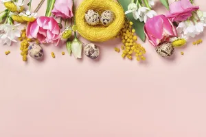 Spring Flowers Background Prints: Easter creative composition. Spring flowers