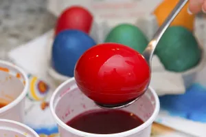 Wildlife Breeding Ground Prints: Easter egg dye, dye, Easter eggs