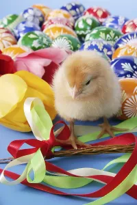 Colorful Easter Decoration Prints: Easter setting with chick