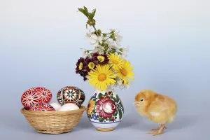Easter Chick Prints: Easter setting with chick