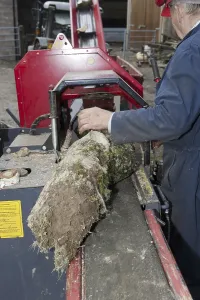 Forestry Worker Prints: Forestry workers loading timber onto the logging and splitting bench