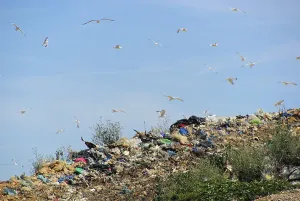 Environmental Pollution Images Prints: Garbage dump
