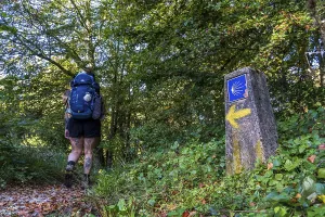 Mountain Climbing In Europe Prints: Pilgrim and shell walking on the path