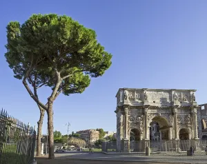 Unesco World Heritage Site Rome Italy Prints: Pine tree and Arch of Constantine