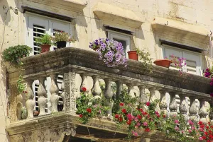 Ornamental Plant Close Up Prints: Split balcony, split balcony
