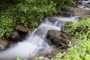 Long Exposure River Photography Prints: Stream (rivulus)