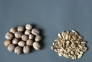 Dried Fruit Nutrition Prints: Walnuts with hard shell and Kernel