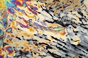 Polarised Light Microscopy Prints: Potassium sulphate under the microscope