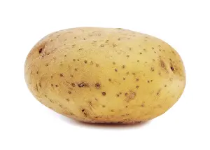 Studio Shot Vegetable Prints: Potato on a white background