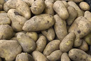 Full Frame Vegetable Photography Prints: Potatoes