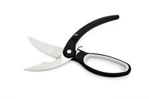 Isolated Studio Backgrounds Prints: Poultry shears