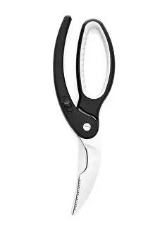 Indoor Still Life Photography Prints: Poultry shears