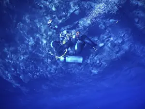Snorkeling In Brazil Prints: Practicing diving and snorkeling