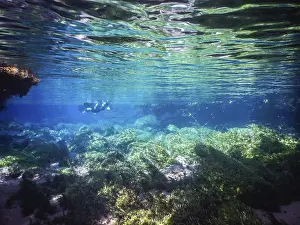 Prints of Practicing diving and snorkeling, mysterious lagoon, beautiful lagoon of transparent turquoise blue water, located in the city of Bonito, Mato Grosso do Sul, Brazil Bonito Prints: Practicing Diving and Snorkeling in Bonito, Brazil Print