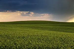 Dark Cloudy Atmosphere Prints: Prairie Storm Clouds Canada Saskatchewan Dramatic Summer