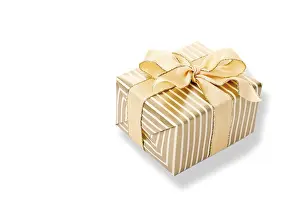 Christmasy Still Life Prints: Present