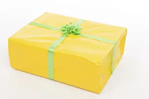 Christmas Gift Prints: Present
