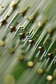 Electronic Technology Prints: Printed circuit board
