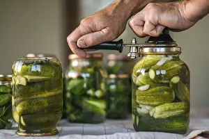 Homemade Pickles Prints: The process of closing salted cucumbers