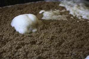 Whisky Production Process Prints: Process of mashing and fermentation in whisky