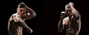 Studio Shot Pictures Prints: Professional boxer posing in the studio