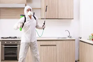 Flying Insect Extermination Prints: Professional contractor doing pest control at kitchen