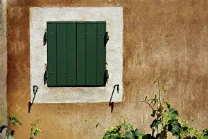 Residential House Exterior Prints: Provence, Window with Vine