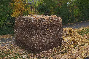Steel Mesh Compost Basket Prints: Public collection container, leaf basket