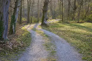 German City Park Prints: Public park with path and bench in spring
