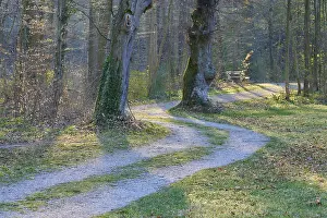 German Municipal Park Prints: Public park with path and bench in spring