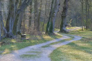 Deserted Bench In Germany Prints: Public park with path and bench in spring