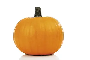 Balanced Diet Grocery List Prints: Pumpkin
