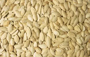 Natural Remedy Plants Prints: Pumpkin seeds