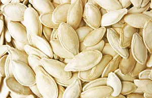 Medicinal Plant Parts Prints: Pumpkin seeds