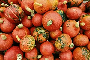 Pumpkin Nutrition Prints: Pumpkins